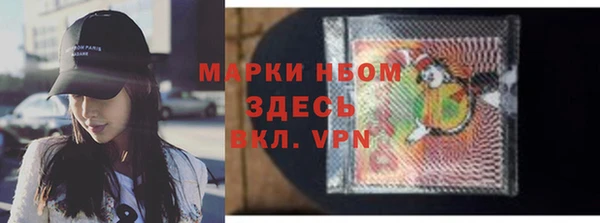 ECSTASY Тайга