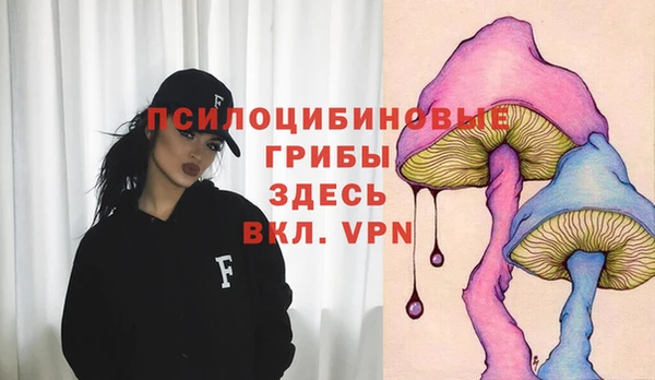 прущая мука Вязники
